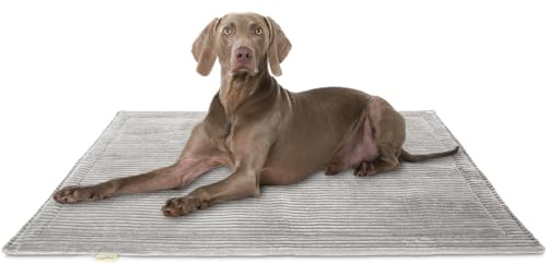 Knuffelwuff Hundedecke Timor 80x60cm Hellgrau - Bequeme und Pflegeleichte Liegedecke aus weichem Cord - waschbar - für große, mittelgroße und kleine Hunde
