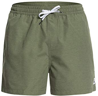 Quiksilver Herrar varje dag 15 tum boardshorts Grön X-L