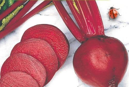 Pezzi - 310x Rossi Rapa Sfera 2 Storuman Eko Barbabietole Verdure Giardino Piante - Seme K467 - Seeds & Plants Shop by Ipsa