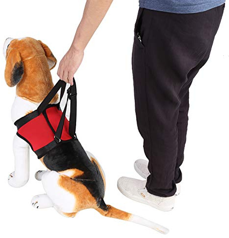 Garosa Imbracatura di Supporto per Cani, Imbracatura di Supporto per Gambe di Cane Anteriore Posteriore Ausilio per la deambulazione Gilet di Sollevamento per Cani Anziani o feriti(S-Gamba Anteriore)