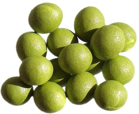 Laitue Goldorac (enrobée) - 15 graines - Lactuca Sativa L. - SEM06