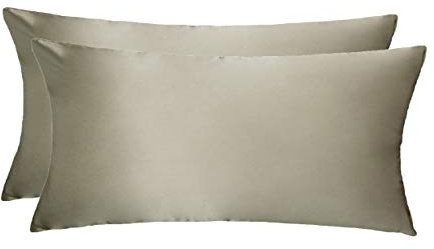 LULUSILK 100% Seide Kissenbezug Haar- und Hautpflege Kissenhülle knitterarm 2 Stücke Kissenbezug Seide 40x80cm Taupe