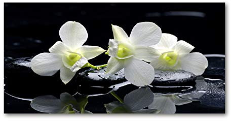 Tulup Glas-Bild Wandbild aus Glas - Wandkunst - Wandbild hinter gehärtetem Sicherheitsglas - Dekorative Wand für Küche & Wohnzimmer 120x60 - Blumen & Pflanzen - Orchidee - Weiß