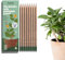 SproutWorld Bleistift | Mindful Thoughts Edition | Pflanzbare Graphit Bleistifte mit Blumensamen | Umweltfreundliches Bio-Holz | Nachhaltiges Geschenk mit inspirierenden Zitaten | 8 stk