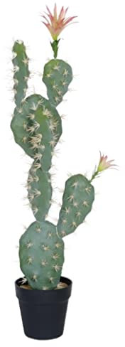 Plantas Artificiales Grande Moderna Planta De Cactus Bonsái Verde Para Interiores Artificiales Para Decoración De Plantas Artificiales Para Jardín Interior Y Exterior Planta Artificial Grande para Sal