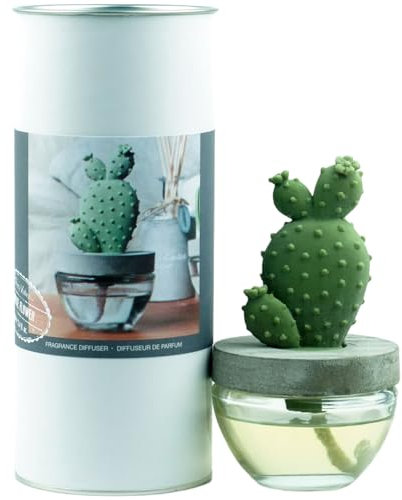 Pretty Valley Home - Set di diffusori di fragranze a bastoncini di gesso, a forma di cactus, 100 ml, per la casa, per bagno, ufficio, soggiorno, tavolo da pranzo
