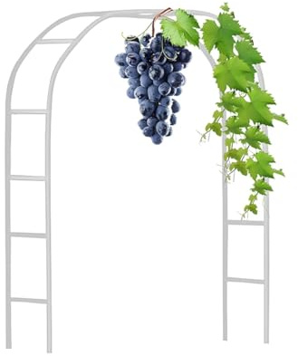 Arche de jardin en métal - En acier galvanisé robuste - Treillis pour plantes grimpantes - Disponible en 120 cm à 280 cm - Finition blanche élégante (1,8 x 2,20 m)