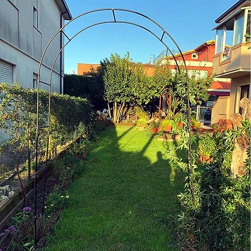 Arche de jardin – Arche de rose en fer forgé pour mariage, support de plantes, options de largeur 120–350 cm, treillis de jardin élégant noir, 300 cm x 220 cm de hauteur, décoration extérieure