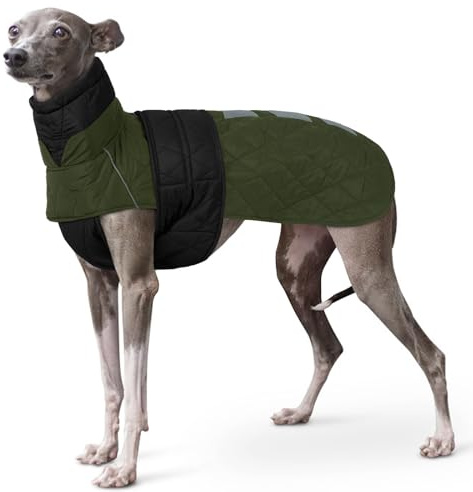 Cappottino Levrieri, Giubbotto Invernale Cane Piccolo Levriero Abbigliamento per Whippet Abbigliamento Piccolo Levriero Italiano