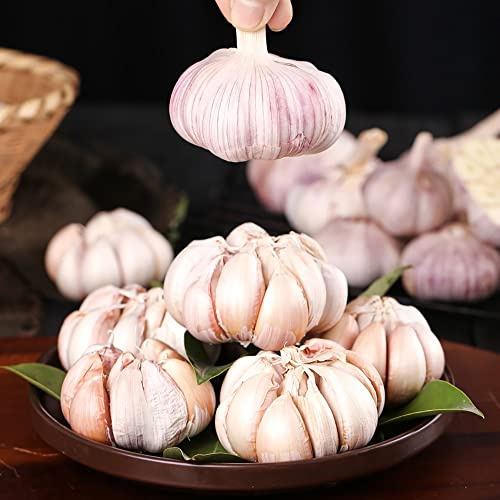 Knoblauchzwiebeln, grünpflanzen Steckknoblauch Pflanzknoblauch, gemüsepflanzen steingartenpflanzen winterhart outdoor seltene exotische 2pcs