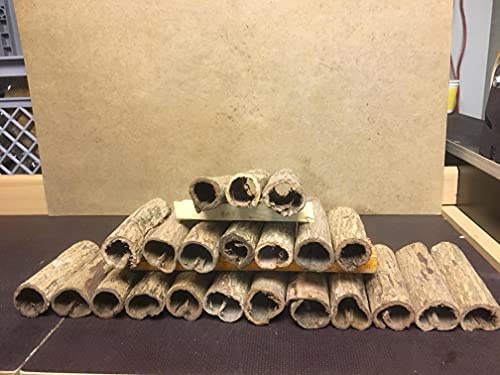Höhlen Bonusaktion - Seemandelbaum-Rindenröhren Ø 3cm x 10cm bis 12cm (Catappa Barks Cave/Tube - Welshöhle)
