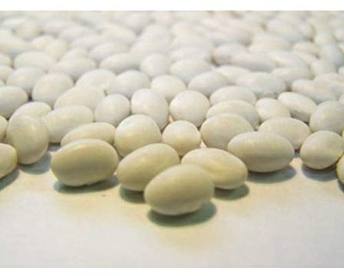 Navy Bush Bean Bean Seeds- Favorite Bean for Boston Baked BeansHam & Bean Soup(25 - Seeds)