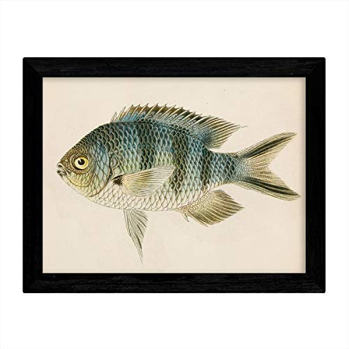 Nacnic Notenlinien blau grau Fisch im A4-Format, Vintage Plakatpapier Hintergrundpapier 250 gr hohe Qualität. Frameless