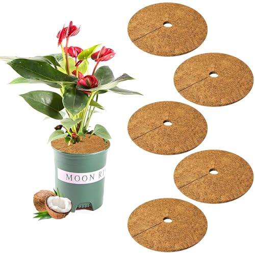 Yixinly 5 Pcs Tapis de Coco Protection Hivernale Ø25 cm, Protection Plantes Exterieur Hiver Protection Hivernale pour Plantes des Plantes Protection des Pots Toute l'année Plantes Hiver