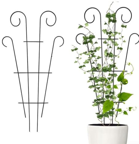 Traliccio per piante rampicanti all'aperto, traliccio da giardino rivestito nero Fan Pot graticcio da giardino in metallo palo di supporto per interni ed esterni viti fiori verdure