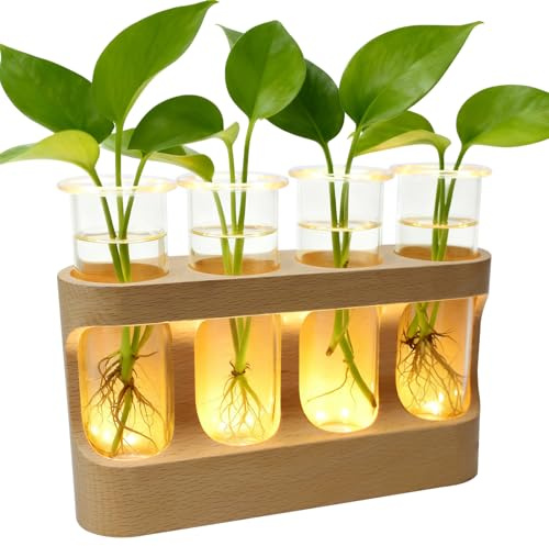 4 Piezas Jarrones de Vidrio Hidropónico,Jarrón De Tubo De Ensayo con Soporte De Madera,Estación De Propagación De Macetas con Luces LED para Plantas Hidropónicas,Decoración del Hogar (Luz cálida)