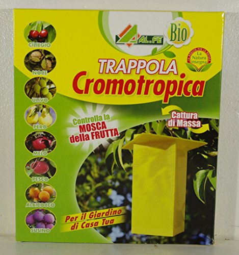 ALFE Trappola CROMOTROPICA Adesiva per LA Cattura degli Insetti