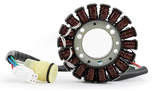 Motor Magneto Stator Spule PSLER Motorrad-Zündspule für Yamaha ATV BEAR TRACKER YFM250 2001-2004 und für BIG BEAR 250 YFM250 2007-2009 und für BRUIN 250 YFM250 und für 660 YFM660