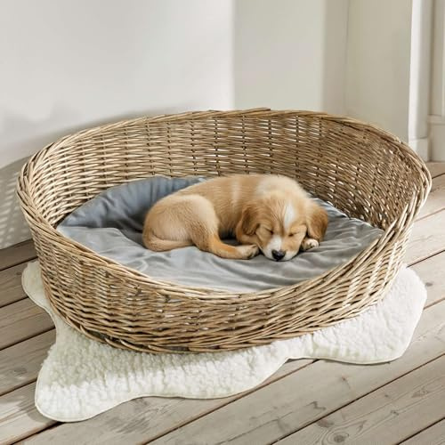 FRANK FLECHTWAREN Hundekorb Grey für Hunde, Vollweide Geflecht Grau Gekalkt, mit Polyester Kissen, Maße 90 x 70 x 25 cm, Liegefläche 76 x 56 cm