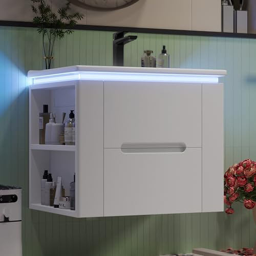 Moimhear Armadi da appendere a parete, illuminazione a LED, due cassetti, guide scorrevoli, lavabo integrato, bianco (61 x 46 x 48,5 cm)