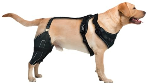 Rodillera para perro, soporte de pierna canina para desgarros, dolor articular y recuperación de lesiones, estabilizador de rodilla ajustable para mascotas, protector de ligamentos ortopédicos para