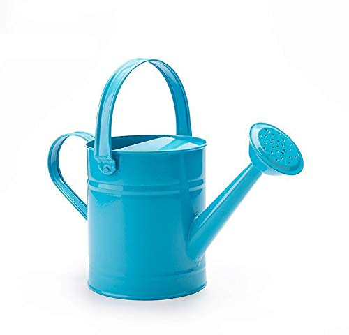 JYCAR Arrosoir en métal, seau d'arrosage de 1,5 L, arrosoir en fer, arrosoir de jardin avec poignées, pour bonsaï, intérieur et extérieur
