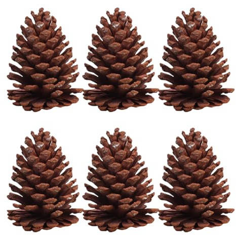 SOLUSTRE 6pcs Tannenzapfen Basteln Kiefernzapfen Tannenzapfen Naturzapfen Schwarzkiefer Weihnachtsbaum Zapfen Weihnachtsdeko Herbstdeko für DIY Handwerk Ornament Dekoration