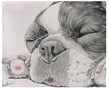 YISUMEI Decke 150x200 cm Kuscheldecken Sanft Flanell Weich Fleecedecke Bettüberwurf Schläfrige französische Bulldogge