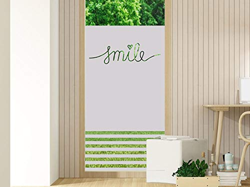 GRAZDesign Fensterfolien Sichtschutz - Fenstertattoo Glastür Aufkleber - Scheibenfolie Fenster Flur Eingangstür Terrassentür/Streifen Linien Smile / 80x110cm Breite x Höhe