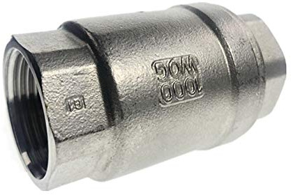 YIJIAN-UMBRELLA Vannes Clapet Anti-Retour en Acier Inoxydable (304) Levante en Ligne Ressort clapet Anti-Retour (Size : DN20)