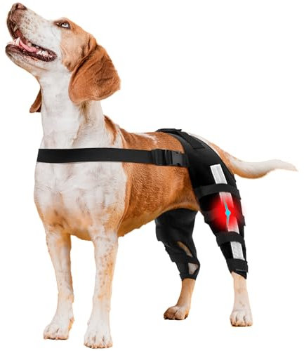 Hunde-Kniebandage für Hinter- und Hinterbein, Hunde-Kniebandage für gerissene ACL-Hinterbeine, Hunde-Kniebandage mit reflektierenden Sicherheitsgurten für Unterstützung, reduziert Arthritis-Schmerzen
