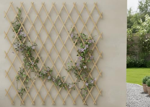BIANCHERIAWEB Traliccio Estensibile in Legno per Piante Rampicanti Recinzione Giardino Balcone 100x300 Naturale