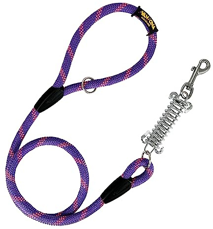 Laisse pour Chien, Amortisseur, Anti-Traction, pour Chiens de Taille Moyenne et Grande, Fabriquée en Espagne. 120cm. Violet avec Rose