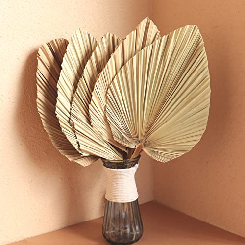 Lot de 5 feuilles de palmier séchées de 45,7 cm - Grandes feuilles de palmier tropicales naturelles - Décoration de mariage hawaïenne - Luau - Vacances - Cuisine - Fleurs séchées - Herbe de la pampa