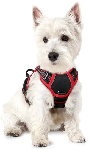 rabbitgoo Hundegeschirr Kleine Hunde Anti Zug mit Griff, XS, Schwarz & Rot | No Pull & Individuell Anpassbar, Atmungsaktiv Gepolstert, 2 D-Ringe, Schnellverschlüsse, Reflektierend für Gassi & Training