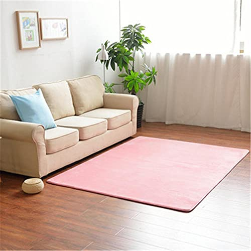 Aoojlo Alfombra de Terciopelo Coral Grueso de Color sólido Calidad Rosa Claro Suave Lavable Antideslizante Grande Rugs Rug Minimalista Moderna Sala De Estar Dormitorio Tatami Gateando Estera -60×90cm