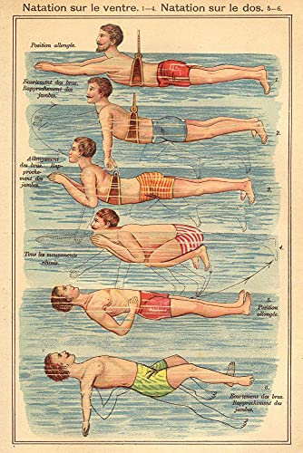 Close Up Natation Poster nach Friedrich Eduard Bilz Anleitung zum Bauch- und Rückenschwimmen 61 cm x 91,5 cm - Vintage Plakat