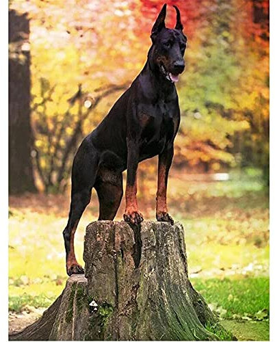 YINGXIN88 1314 Teile Puzzles, süßer Hund Puzzles 1314 Teile für Erwachsene Kinder Landschaft Puzzle Spaß Anspruchsvolle Puzzle Spiele Sammlung Spielzeug Geschenk Home Art Decor 75x50cm