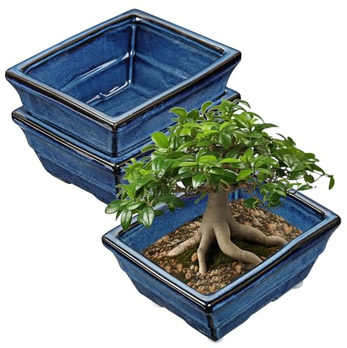 Oairse 2er-Set Bonsai Keramiktopf Bonsaischale mit Entwässerungslöchern für Japanische Bonsai Zimmerpflanzen, Retro-Dekoration für Gartenbehälter-Sets im Freien, Durchmesser Öffnung 20.5cm