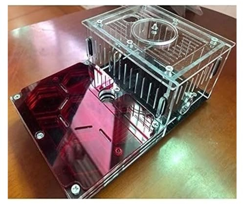 Ameisen Terrarium Ameisenfarm Mit Schwarzer Grundfläche, Ameisenburg, Ameisennest Aus Acryl, Ameisenverhalten Studieren, Die Welt Zu Hause Erkunden Ameisenfarm Zubehör