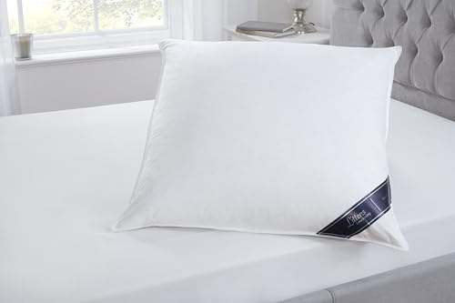 Littens Extra Filled 65cm x 65cm Luxury European Continental White Goose Feather & Down Square Pillow 230TC 100% Cotton Casing, Down Proof (26 x 26)
