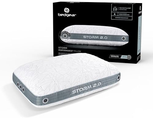 Bedgear Storm Performance Pillow – 2.0 - Cooling Bed Pillow for Hot Sleepers - Medium Firmness Pillow for All Sleep Positions, Washable & Removable Cover - 20 W x 26 L x 5.75 H