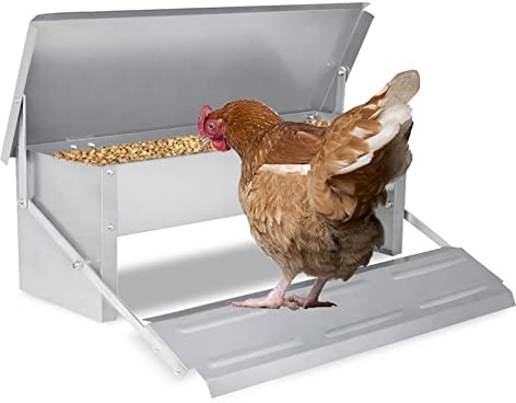 YRHome Comedero automático para aves de corral comedero para pollos 5 kg, comedero automático con patas resistentes al agua, tapa de acero galvanizado para patos pollos pavos