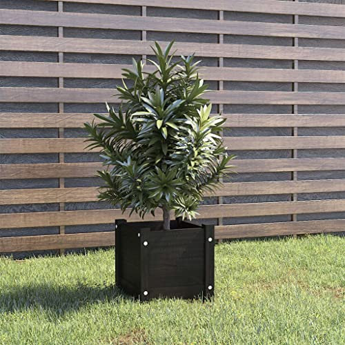 Cassette per la Coltivazione di Ortaggi Fioriera da Balcone Fioriera da Giardino Nera 31x31x31 cm Legno Massello di Pino Adatta per Corridoi, Giardini, Parchi, Balconi
