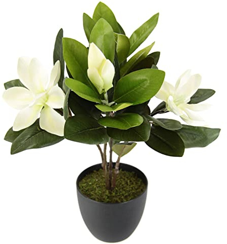Magnolienbusch im Topf künstlich Blumen Deko Frühling Seidenblumen Raumdeko Magnolie Magnolienbaum Kunstpflanze Kunstblumen Kunstbaum Blume Zimmerpflanze Blüten Frühjahrsdeko Frühjahrsblüher Pflanze