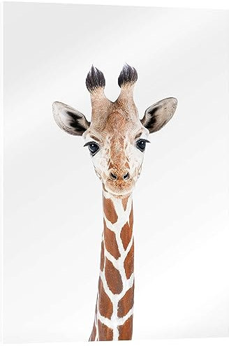 Posterlounge Babygiraffe Acrylglasbild von Sisi And Seb 30 x 40 cm Weiß Wandbilder Wanddeko