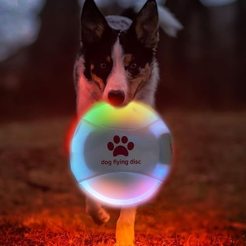 Frisbee LED recargable para perro, disco volador brillante para jugar por la noche, juguete LED duradero e impermeable para entrenamiento al aire libre, perfecto para patio trasero, parque y playa