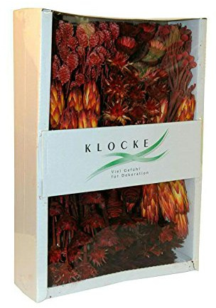 Trockenexoten aus Südafrika – 1 Karton - Dekoration Gedenkfloristik – Blumengestecke / Trauerkränze / Grabgestecke / Sargschmuck / Grabfloristik /(Protea - Sortiment Rot - 100 Stück)
