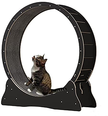 GLJTUO Schwarzes Katzenlaufband Aus Holz, Verschleißfestes Katzenlaufrad/Gerät Zur Gewichtsabnahme Bei Katzen, Kletter-Spinnrad Für Kleine/Mittelgroße/Große Katzen,Black-Inner Diameter-90cm(35.4