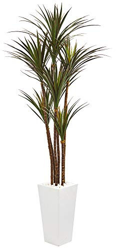 Nearly Natural Árbol artificial de yuca gigante de 6.5 pies en maceta blanca resistente a los rayos UV
